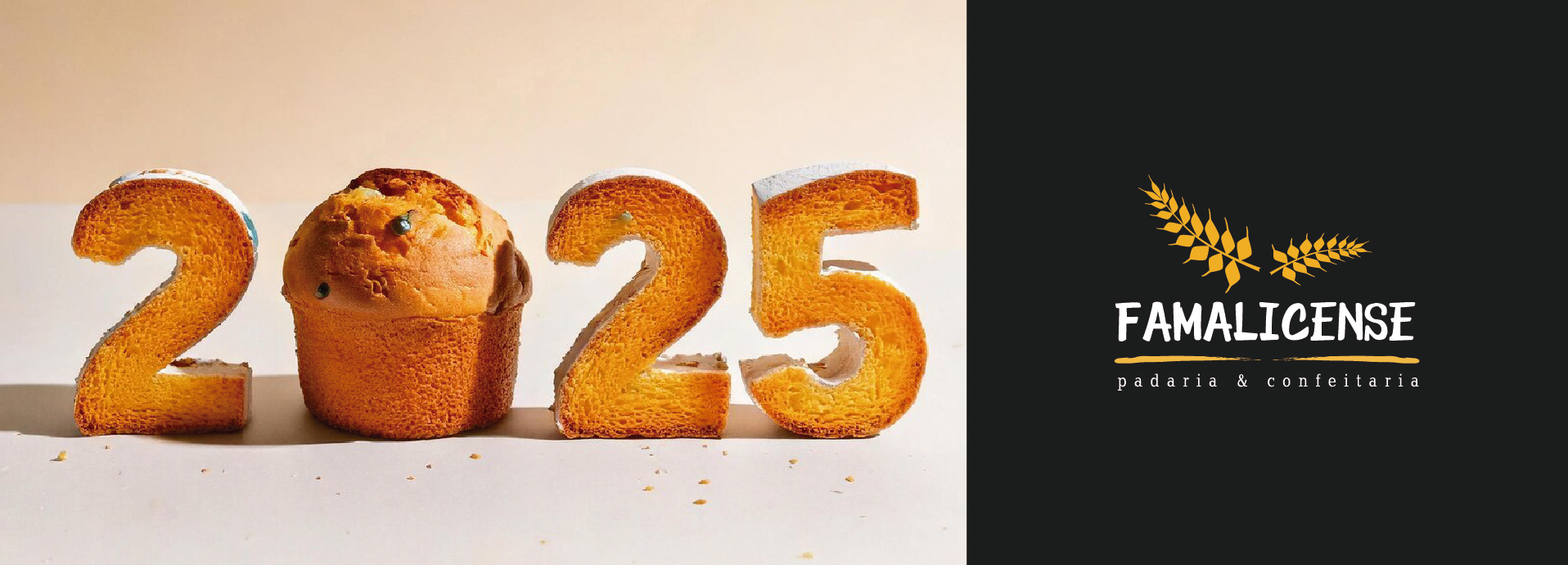 SITE_FELIZ ANO NOVO 2025_Prancheta 1.jpg